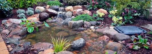 How to Build a Pond